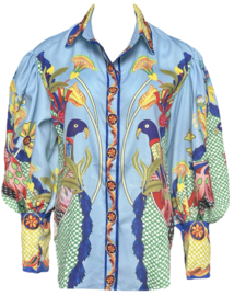 Peacock blouse