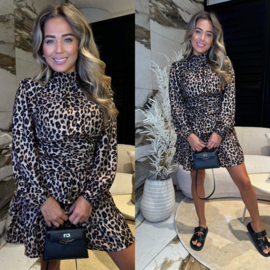 Melany leopard dress