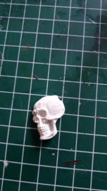 Mini skull decoratie