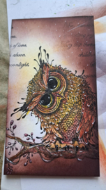 Strippenkaart Masterclass Lavinia "Stamp-it"