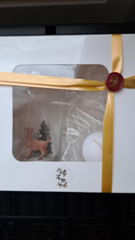 Geschenk set onderwaterwereld