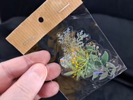 Fairy Journal Art transparante sticker Botanic