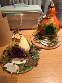 Workshop "Pompoenen Magie"
