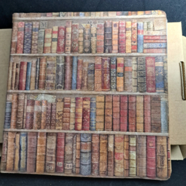 Fairy Art Journal Album: 'Booklovers'