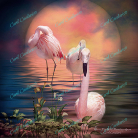 Where The Wild Flamingo Grow - Artwork by Carol Cavalaris