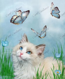 Ragdoll Kitty And Butterflies - Artwork by Carol Cavalaris