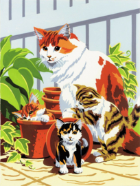 Junior - Cat and kittens