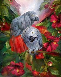 Tropic Spirits - African Greys - Artwork by Carol Cavalaris - 40 x 50 cm