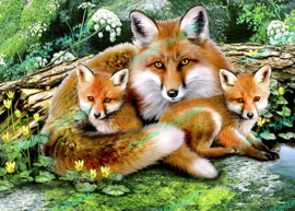 Foxes - Howard Robinson - 40 x 50 cm