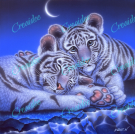 Two Babys Tiger - Artwork by Kentaro Nishino - 40 x 40 cm