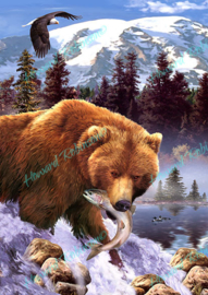 Grizzly Bear - Howard Robinson - 40 x 50 cm