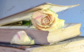 Rose dans un livre