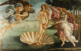 De Geboorte van Venus - Sandro Botticelli - 40 x 60 cm