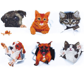 set met 6 honden-kat stickers