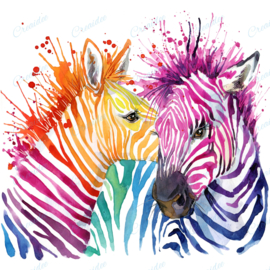 Gekleurde zebra's - 50 x 50 cm