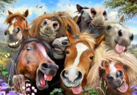 Horses selfie - Howard Robinson