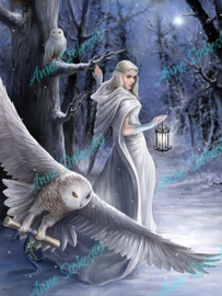 Midnight Messenger - Anne Stokes Collection - 40 x 50 cm