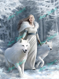 Winter Guardians - Anne Stokes Collection - 40 x 50 cm