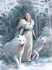 Winter Guardians - Anne Stokes Collection