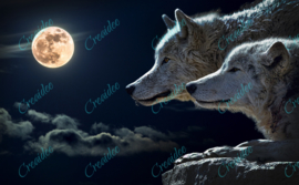 Loups dans la nuit