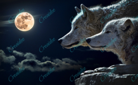 wolven in de nacht - 40 x 60 cm