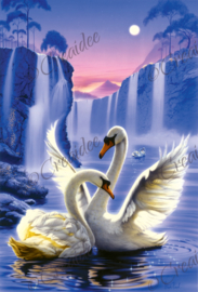 Swan Dreams - Artwork by Steve Read - 40 x 60 cm