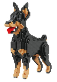 Dobermann