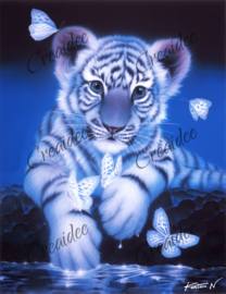 White Baby Tiger - Artwork by Kentaro Nishino - 20 x 25 cm