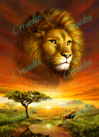 Lion Dawn - Artwork by Adrian Chesterman - 30 x 40 cm