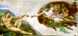 De Schepping van Adam - Michelangelo - 80 x 40 cm