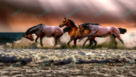 Paarden in de zee - 40 x 60 cm