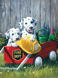 Junior - Fire Waggin