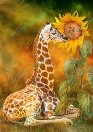 Growing Tall - Giraffe - Artwork by Carol Cavalaris