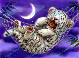 Hammock White Tiger - Artwork by Kayomi Harai - 30 x 40 cm