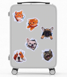 set met 6 honden-kat stickers