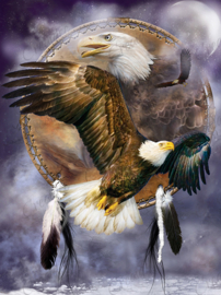 Dream Catcher - Spirit Eagle - Artwork by Carol Cavalaris - 40 x 50 cm