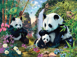 Panda Valley - Artwork by Steve Read - 40 x 50 cm
