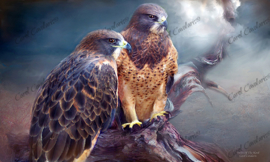 Vision Of The Hawk - Artwork by Carol Cavalaris