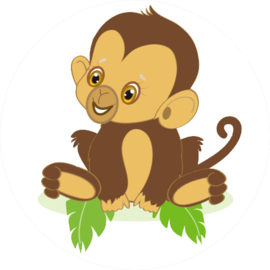 Baby Aapje stoer J/M