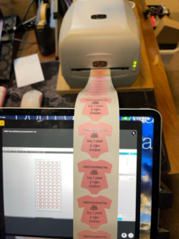 Workshop Stickers snijden met plotter, printen met MMStickerMachine 21-01