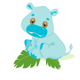 Baby Nijlpaardje stoer J/M