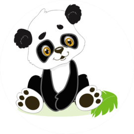 Baby Panda stoer J/M