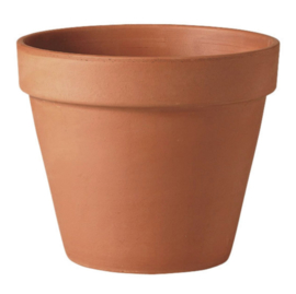 Terracotta pot 22 cm