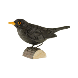 Houten Merel