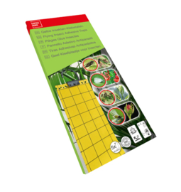 Insectenkleefplaatjes geel
