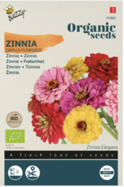 Zinnia kleurenmix (Buzzy)