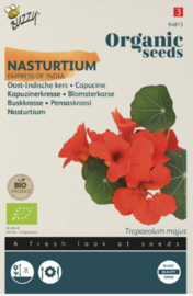 Oost Indische kers (Buzzy)
