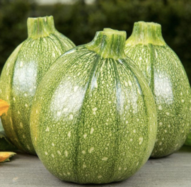 Courgette Bol, Ola Redonda
