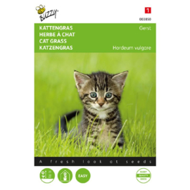 Kattengras
