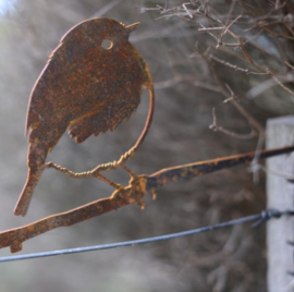 Metalbird Roodborst